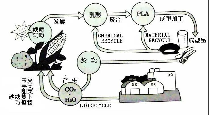 可生物降解環(huán)保塑料可以回收再利用嗎？(圖4)