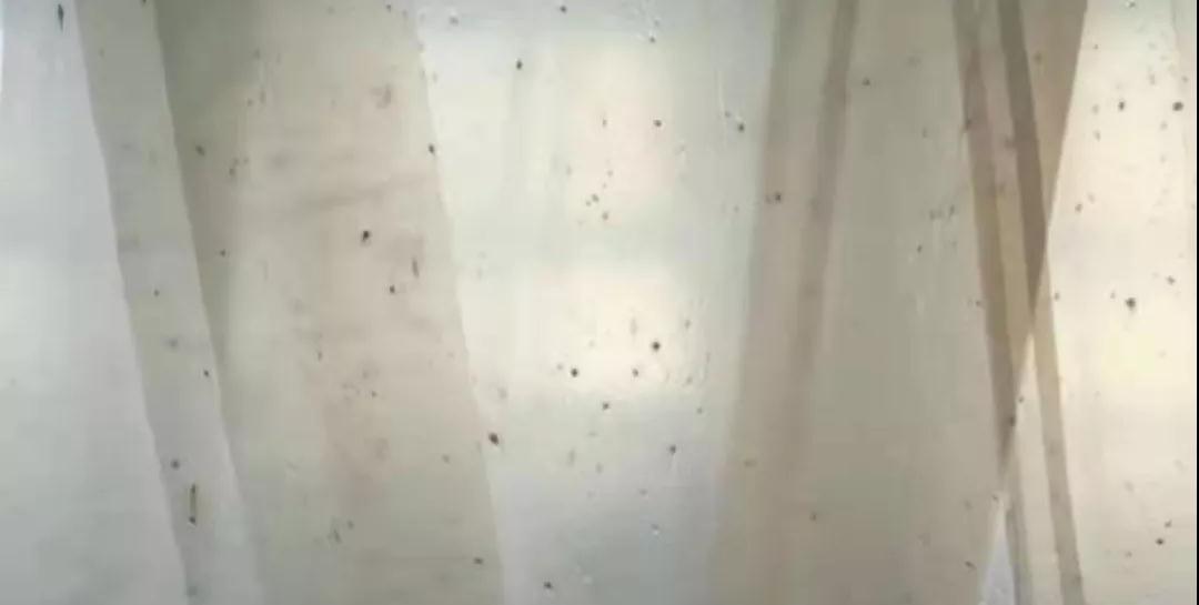 PBAT膜袋有黑點(diǎn)是什么原因？(圖1)